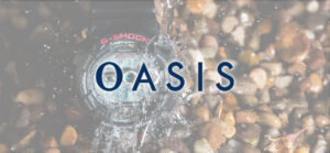 オアシスマネジメント、カシオ株5.19%取得