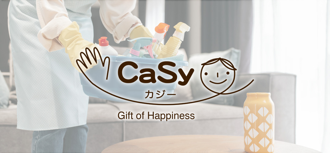 決算分析/株式会社CaSy