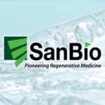 【決算分析】サンバイオ(第13期・中間)