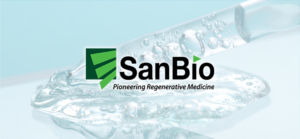 【決算分析】サンバイオ(第13期・中間)