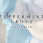 Peppermint Groveがイノバセル株8.19％を保有